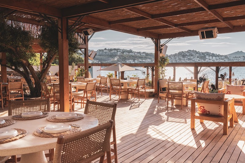 Sips Bodrum fotoğrafı