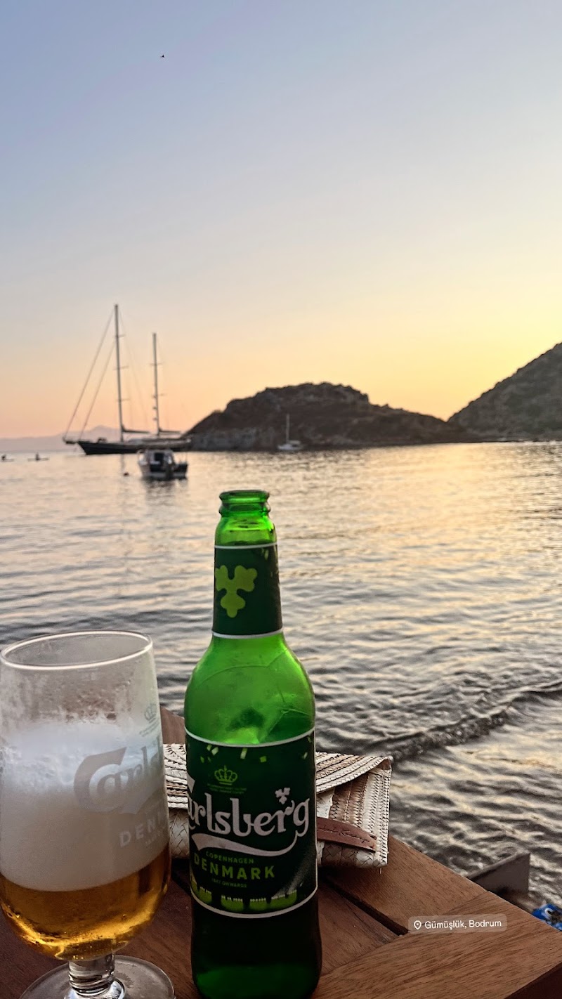 Chillypub fotoğrafı