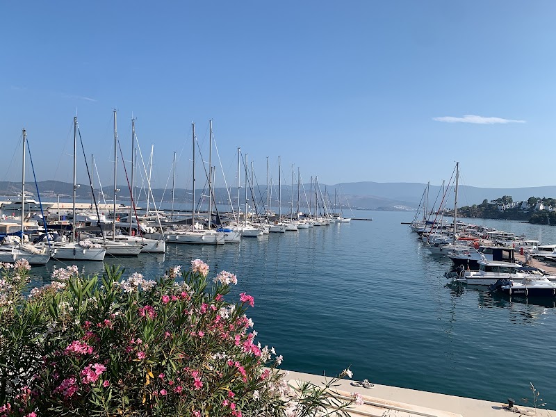 Marina Yacht Club Güllük fotoğrafı