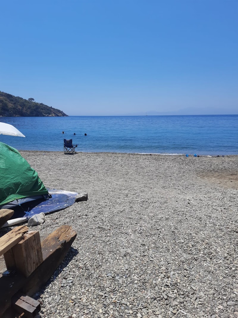 Ilgın Koyu fotoğrafı