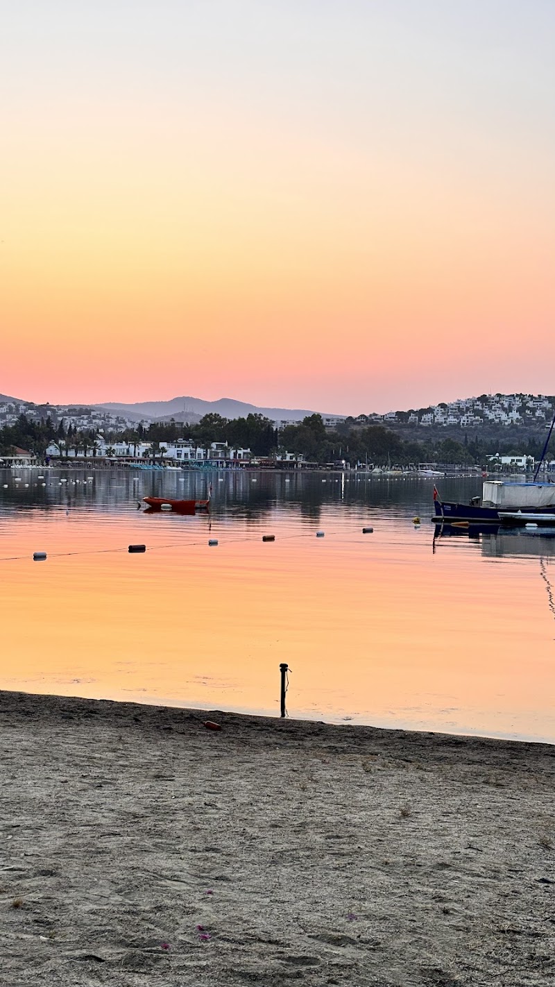 Bodrum Windsurf Center fotoğrafı