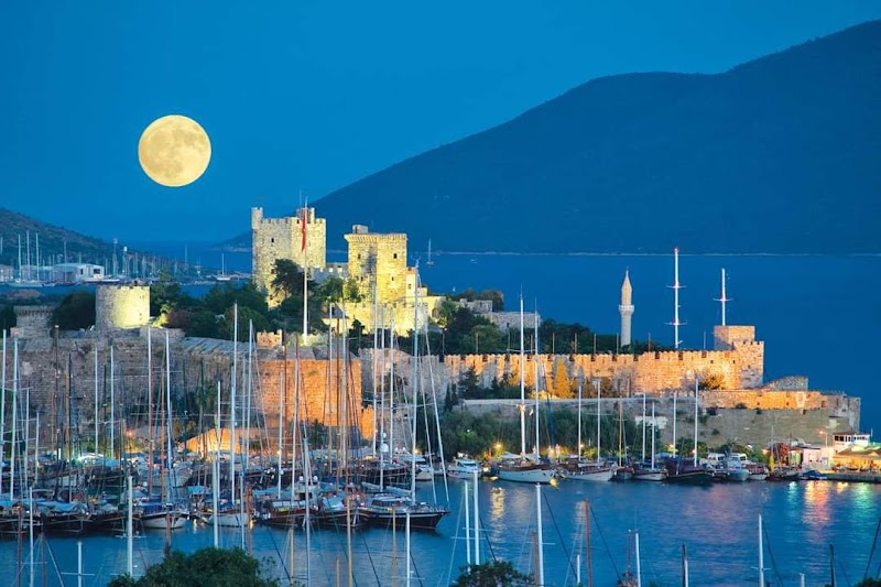Milta Bodrum Marina fotoğrafı