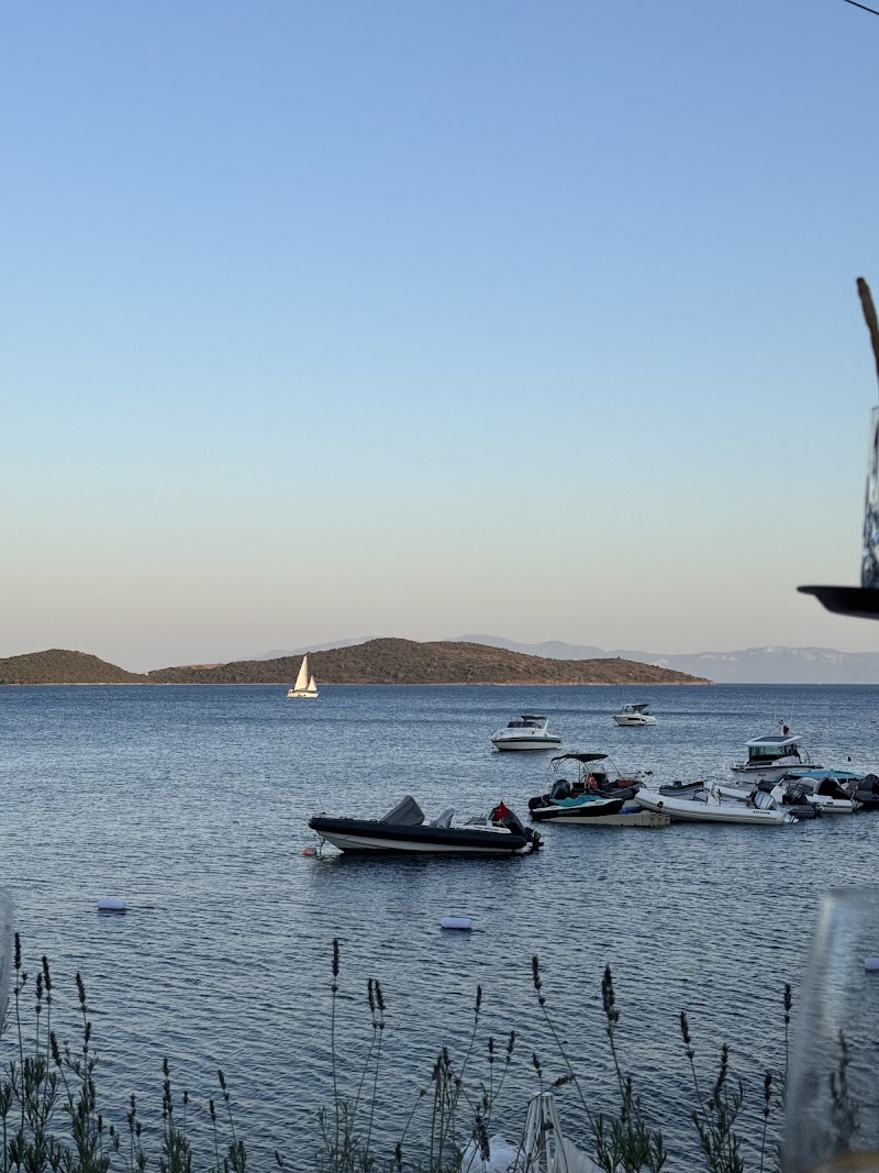 Circle Beach fotoğrafı