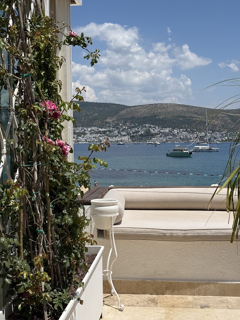 Agaya Bodrum +16 Adult Only (Ex.Prive Bodrum) fotoğrafı