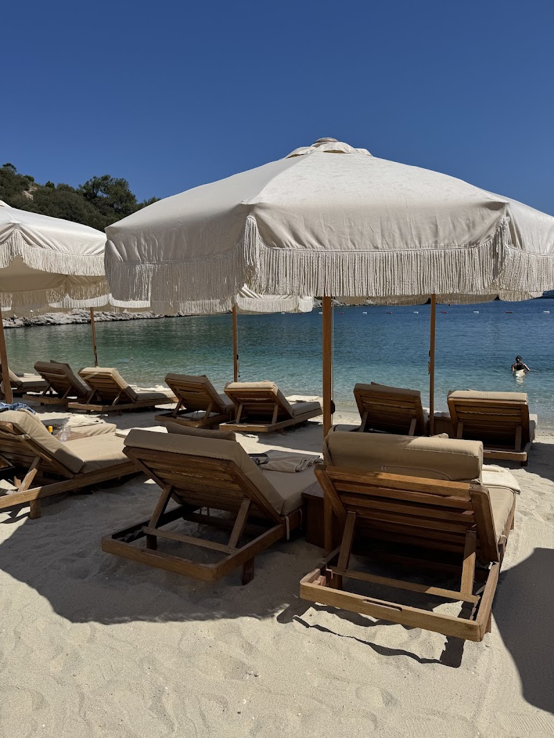 Lucca beach fotoğrafı