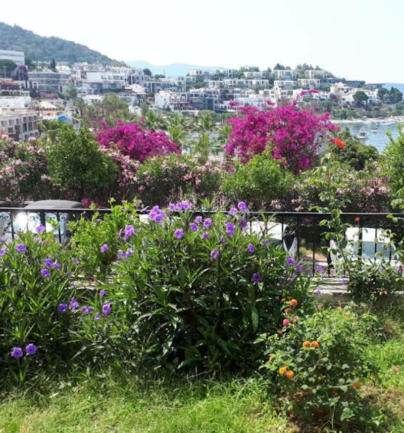 Kumbahçe fotoğrafı