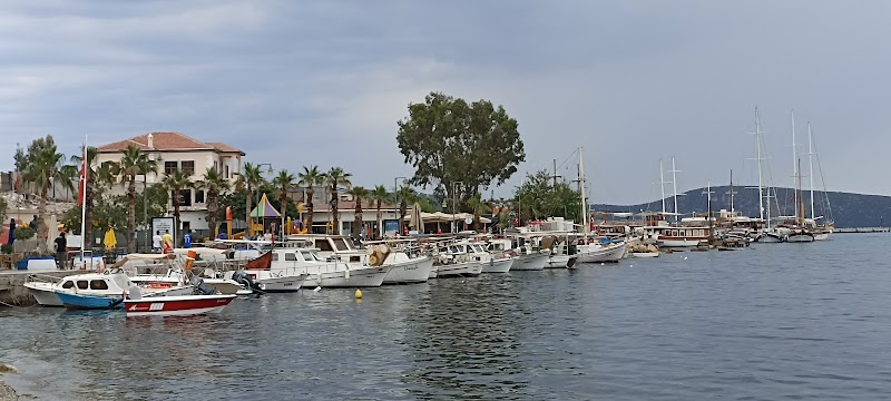 Kumbahçe fotoğrafı