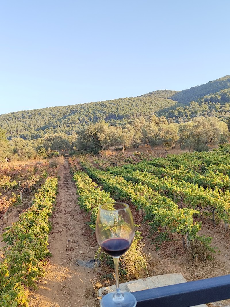 Garova Vineyards fotoğrafı