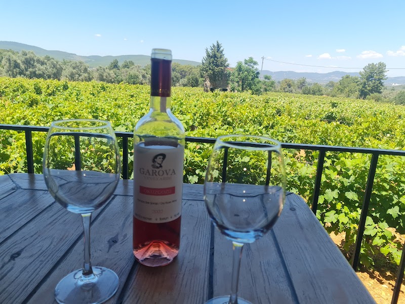 Garova Vineyards fotoğrafı