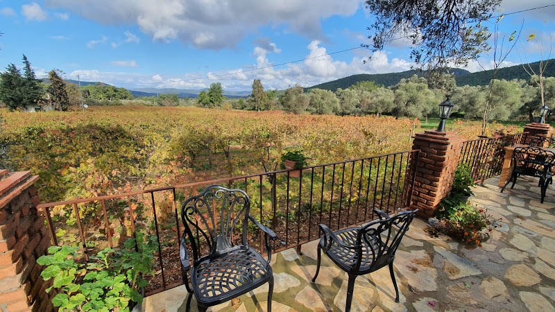 Garova Vineyards fotoğrafı