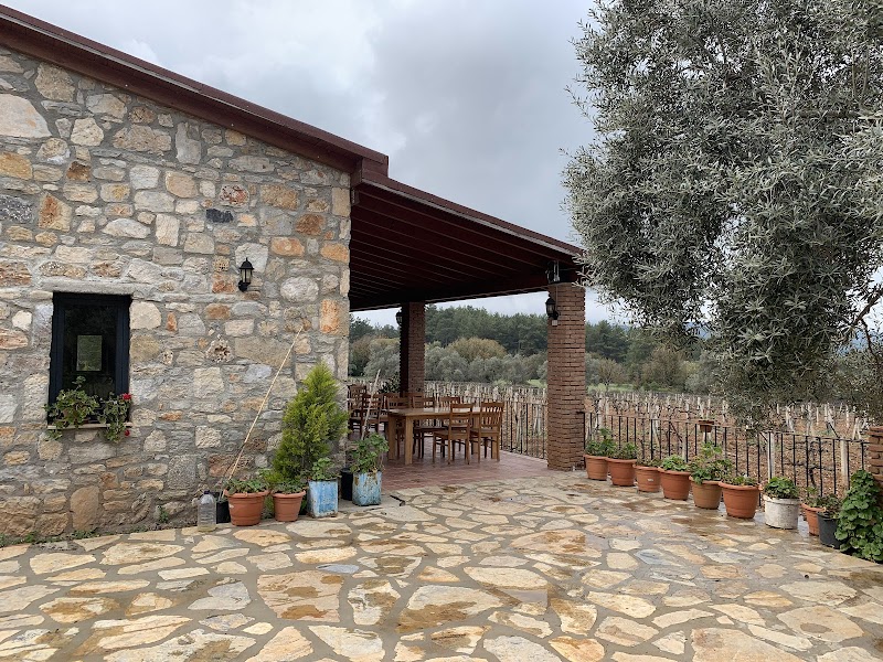 Garova Vineyards fotoğrafı
