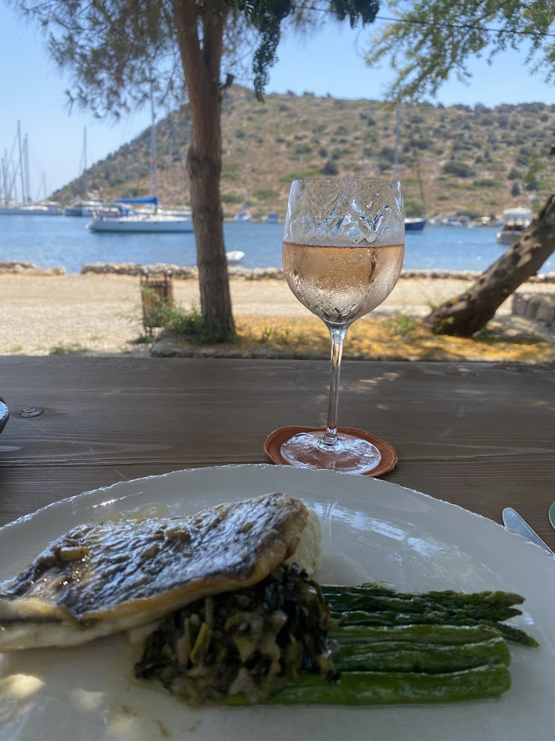Sia Eli Bodrum MSA Summer Takeover fotoğrafı