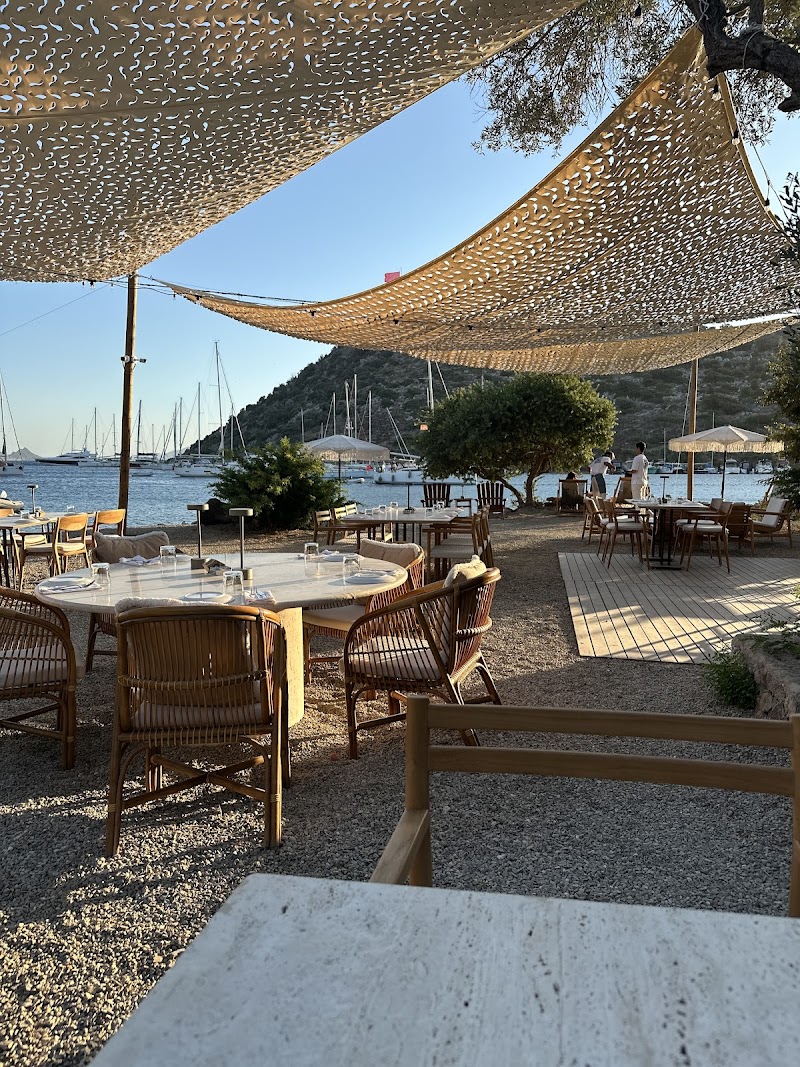Sia Eli Bodrum MSA Summer Takeover fotoğrafı