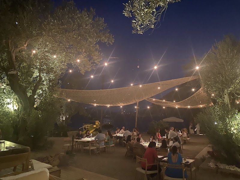 Sia Eli Bodrum MSA Summer Takeover fotoğrafı