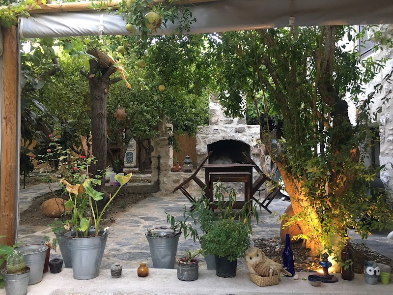 Boleka Bodrum fotoğrafı