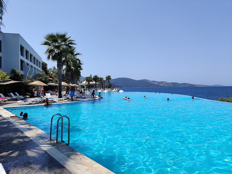 Blue Dreams Resort & SPA fotoğrafı