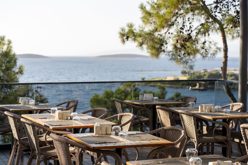 Blue Dreams Resort & SPA fotoğrafı