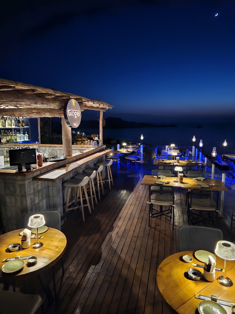 Ginger Bodrum fotoğrafı