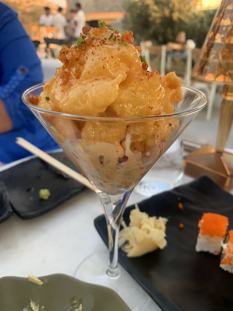 Ginger Bodrum fotoğrafı
