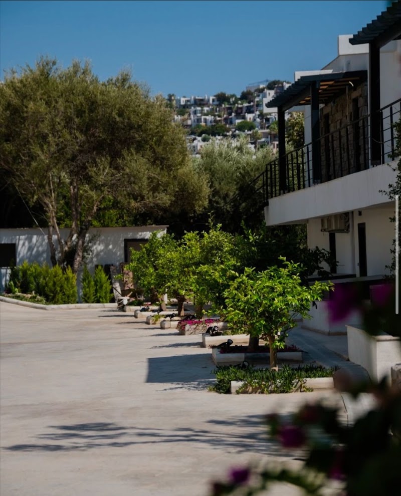 Bloom Bodrum fotoğrafı