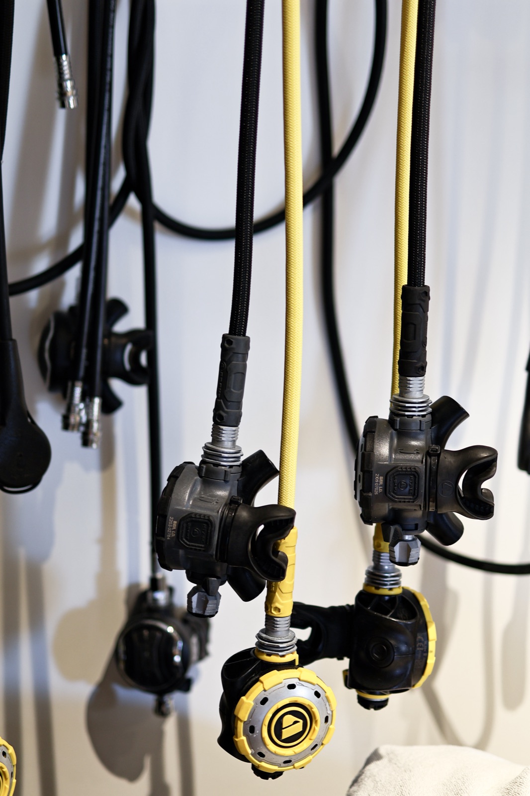 DiveTalia Diving Center photo 11