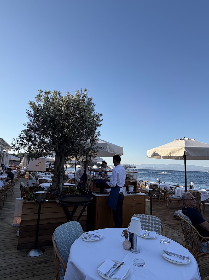 Gaia Bodrum fotoğrafı