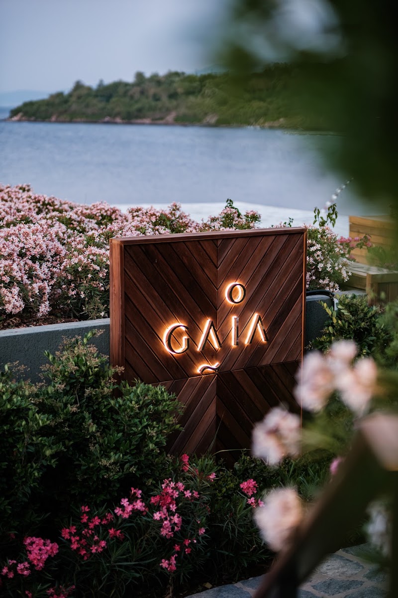 Gaia Bodrum fotoğrafı
