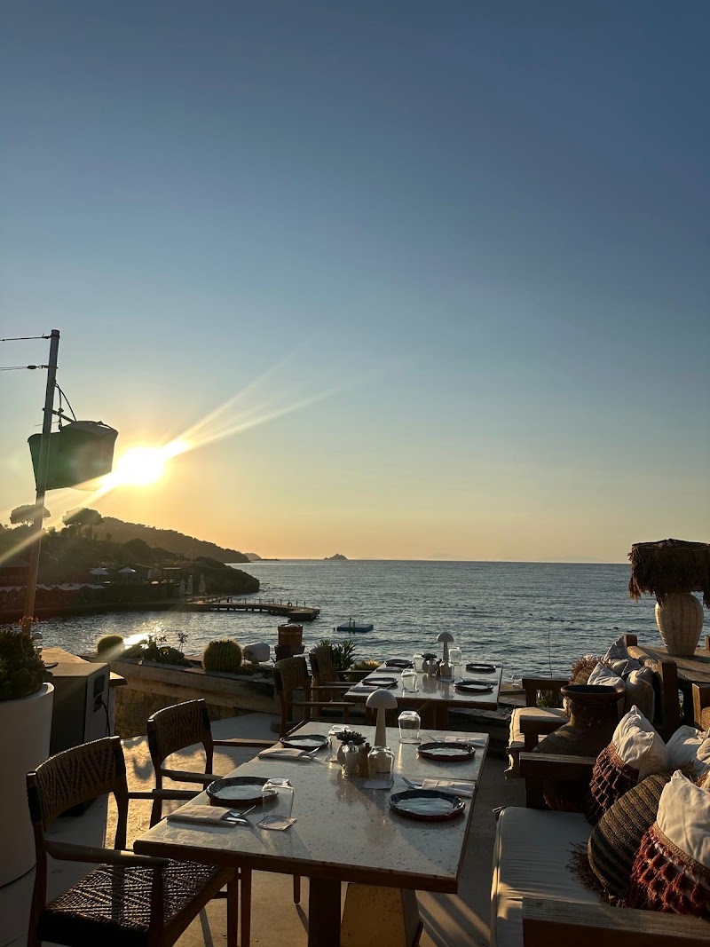 The GALLIARD fotoğrafı