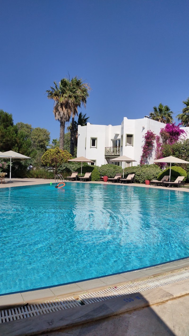 Hotel Princess Artemisia fotoğrafı