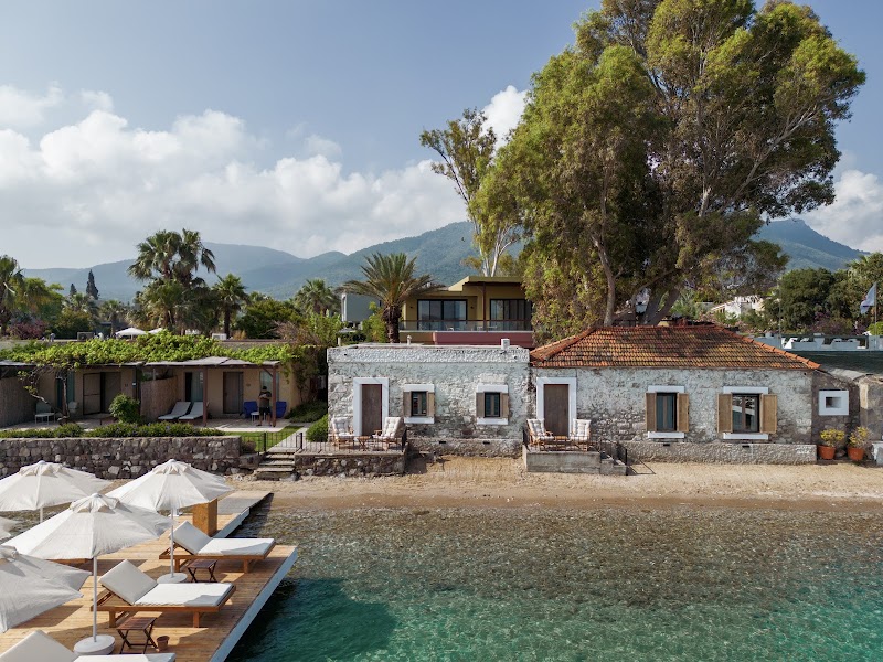 Flamm Bodrum fotoğrafı