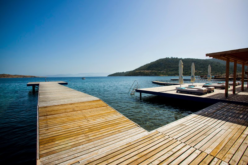 Flamm Bodrum fotoğrafı