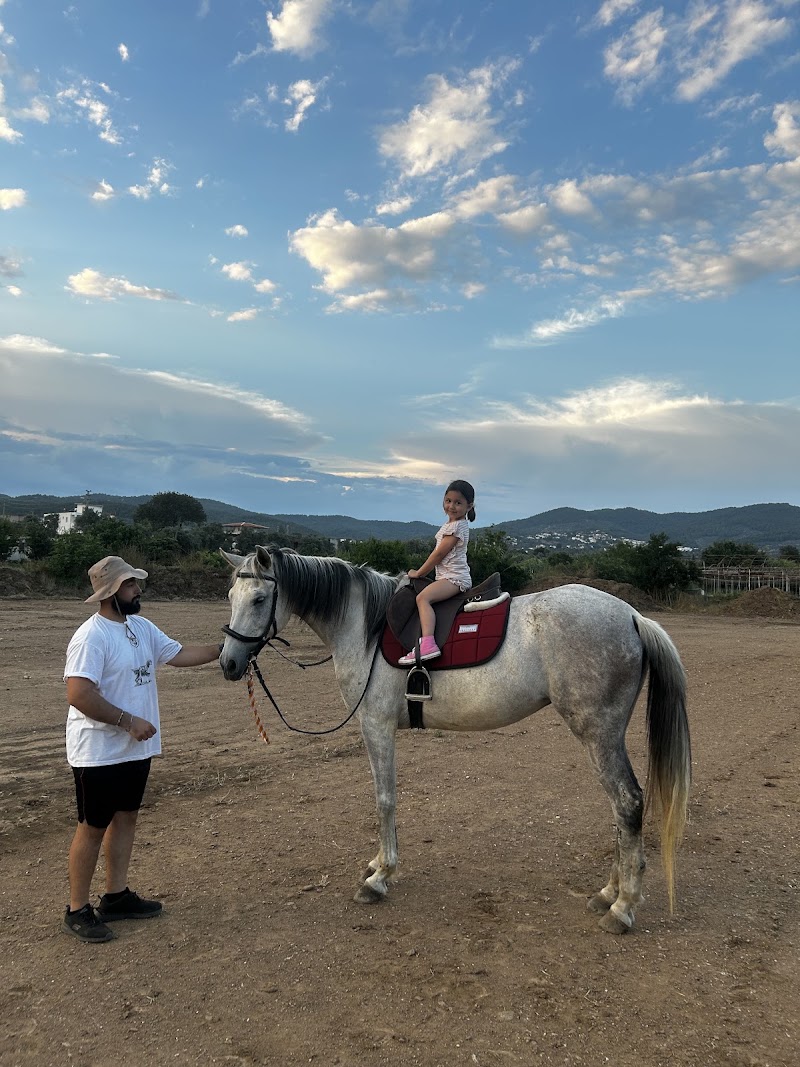 Hanbey At Çiftliği fotoğrafı