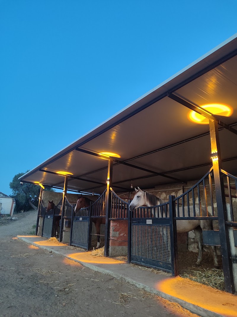 Hanbey At Çiftliği fotoğrafı