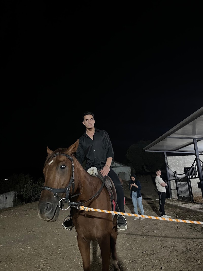 Hanbey At Çiftliği fotoğrafı