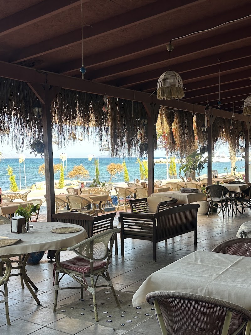 Mandalinci restaurant fotoğrafı