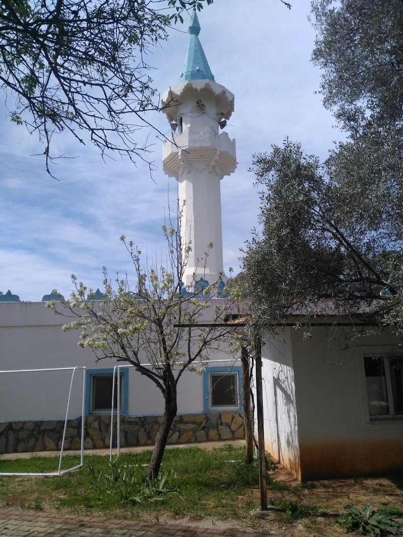 Çamlık Mahallesi Camii fotoğrafı