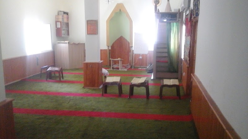 Çamlık Mahallesi Camii fotoğrafı