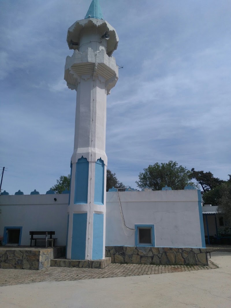 Çamlık Mahallesi Camii fotoğrafı