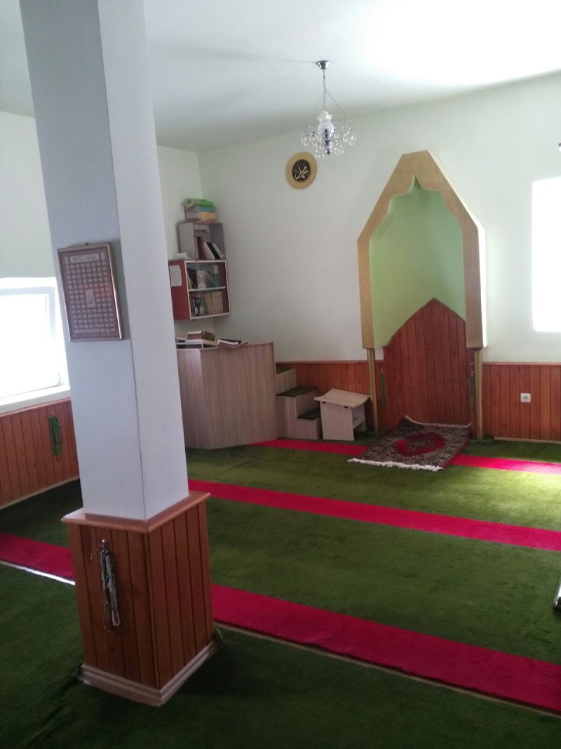 Çamlık Mahallesi Camii fotoğrafı